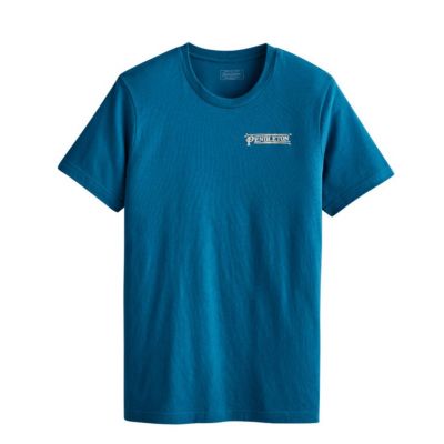 Pendleton Men's Solstice Canyon Bison Short Sleeve Graphic Tee - Deep Teal/Multi