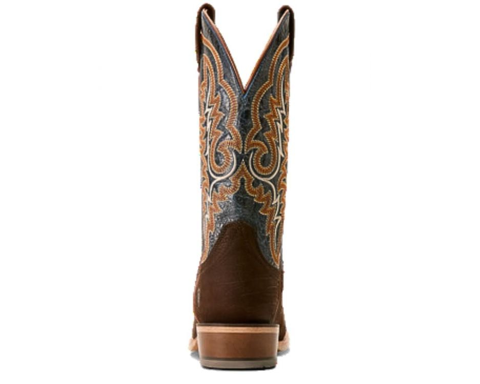 NEW ARIAT men\'s futurity relentless in chocolate/royal Ariat Men main image 3
