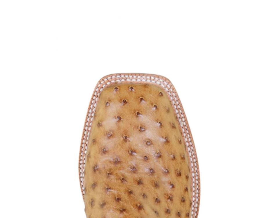 Langdon Ostrich Sq Toe,Hm11017,Gemcap Solutions, Llc
