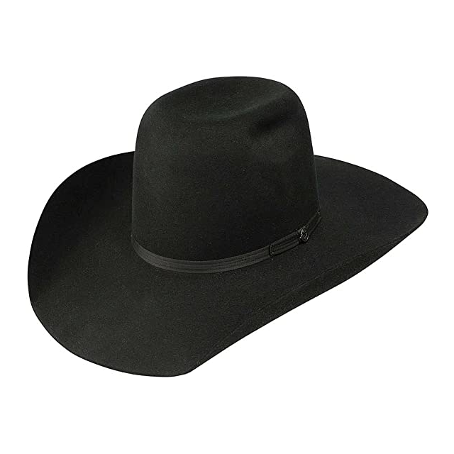 Resistol Black Hooey Day Money Cowboy Hat